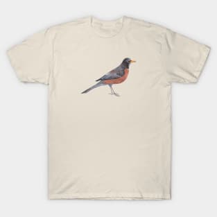 Robin T-Shirt